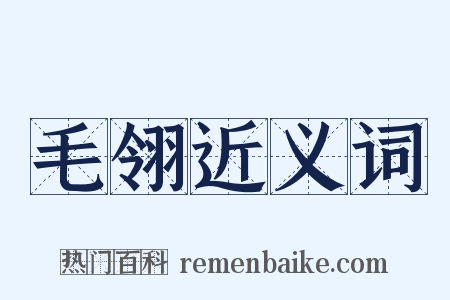 毛翎近义词是什么意思的图片